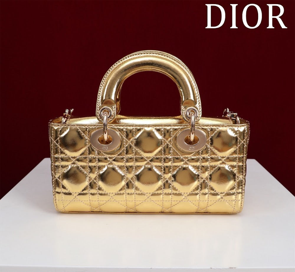 Anum Bags Diorn Luxury Bag --114732