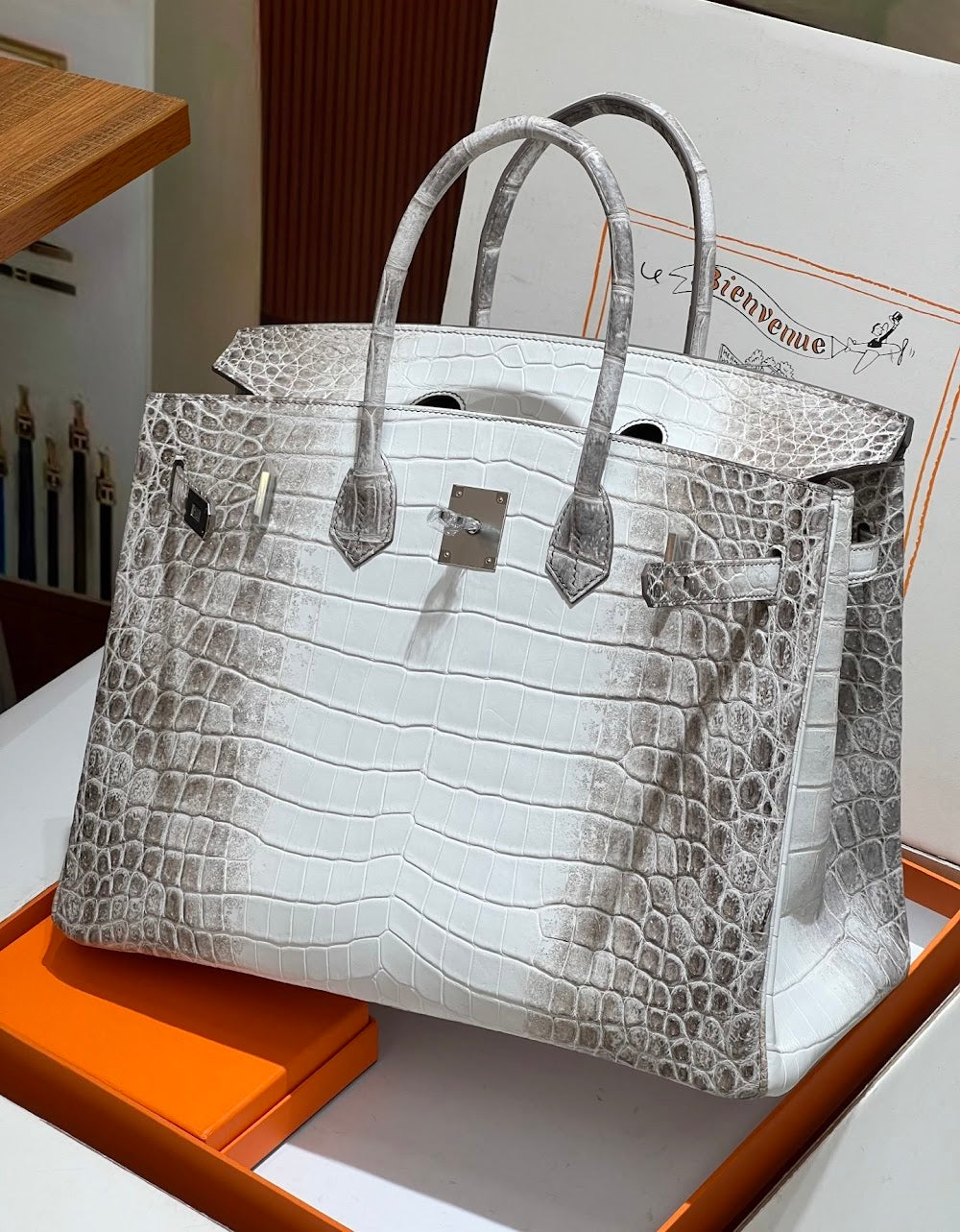 Anum Bags Hermesn Luxury Bag --116726