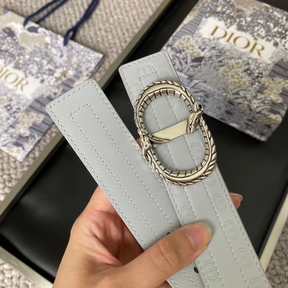 Anum Bags Diorn Luxury Belt --107764