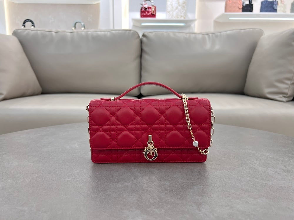 new-designer-premium-bags-nm16243