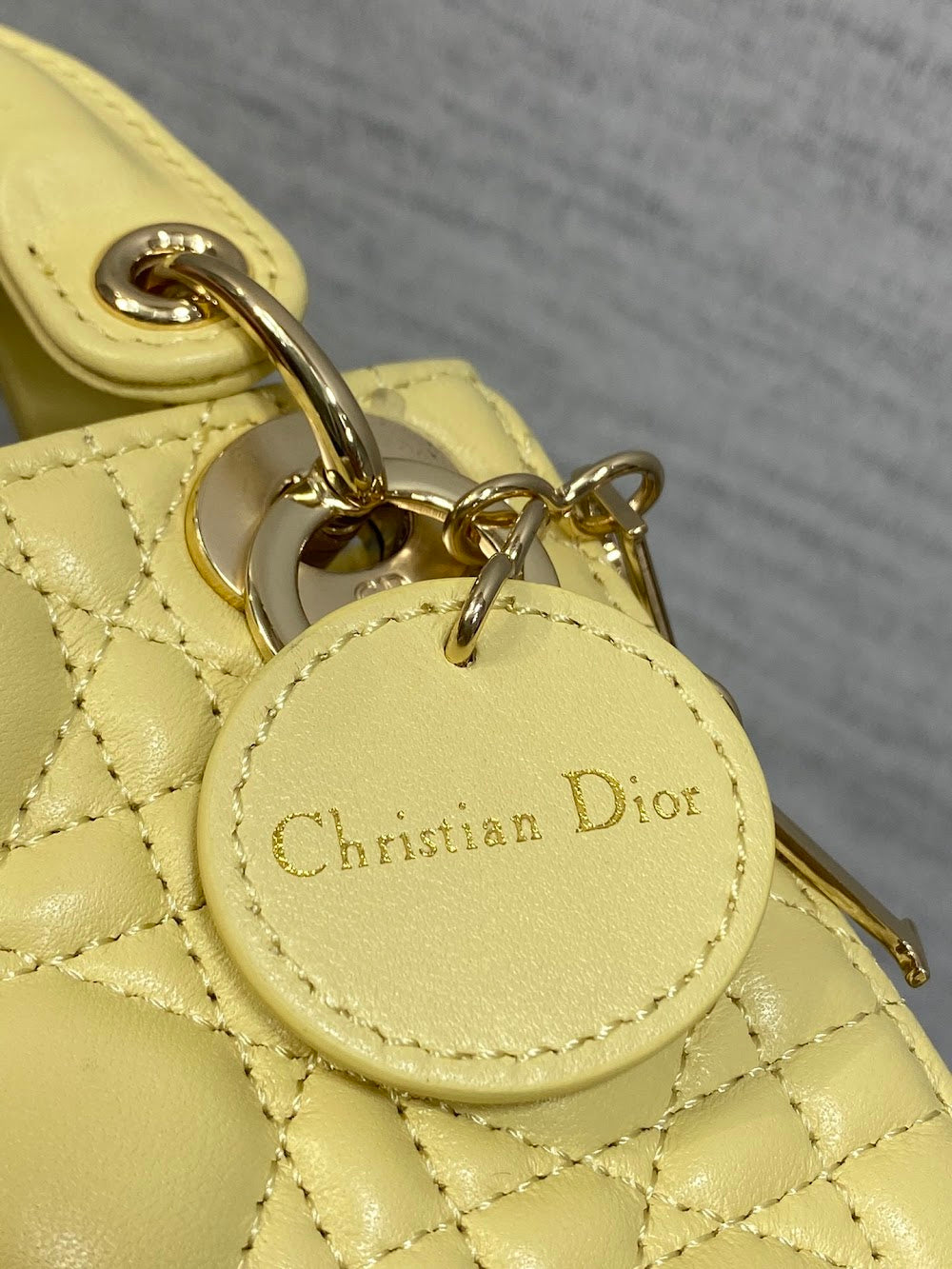 Anum Bags Diorn Luxury Bag --114981