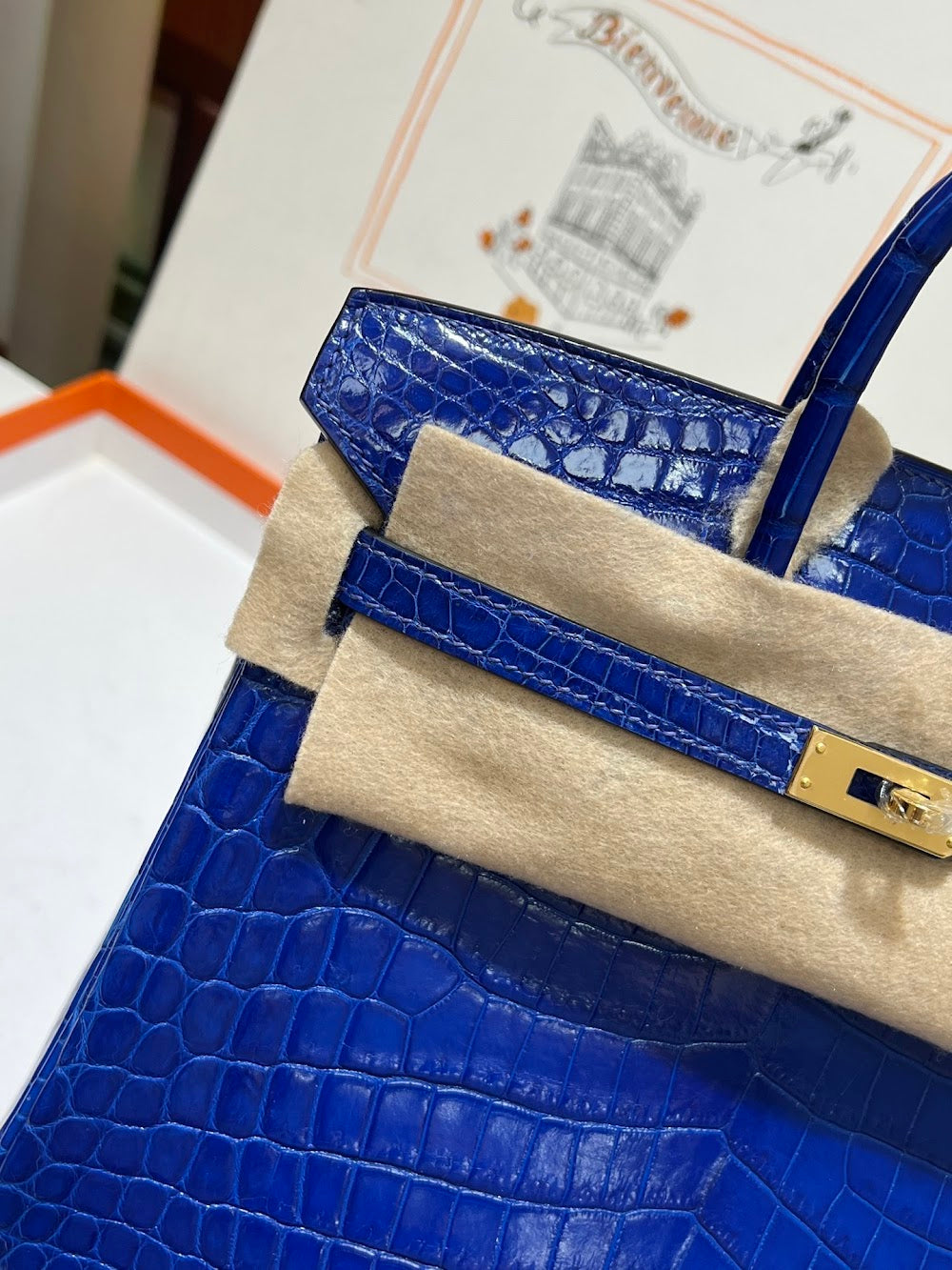 Anum Bags Hermesn Luxury Bag --117193