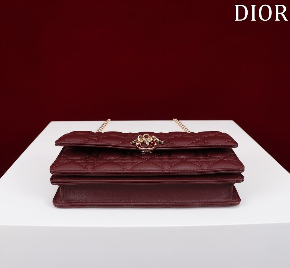 Ezyycart Bags Diorn Luxury Bag --116230