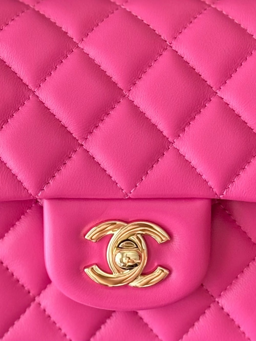 Anum Bags CHn Luxury Bag --113059
