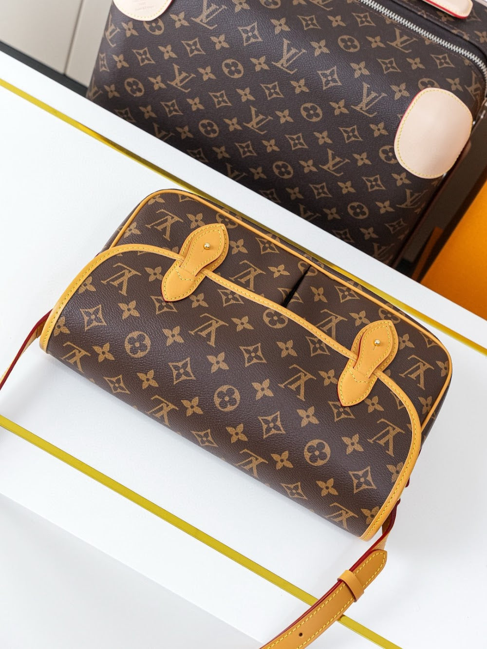 Anum Bags LVn Luxury Bag --80802