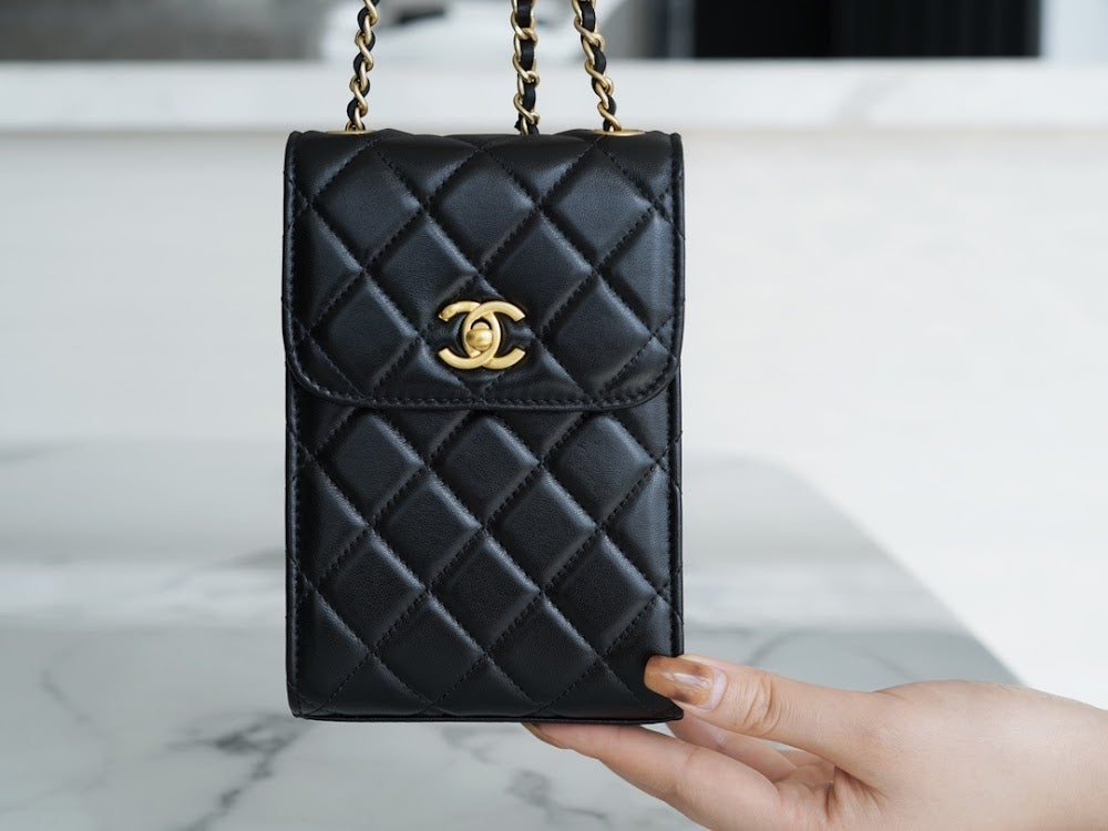 new-designer-premium-bags-nm10136