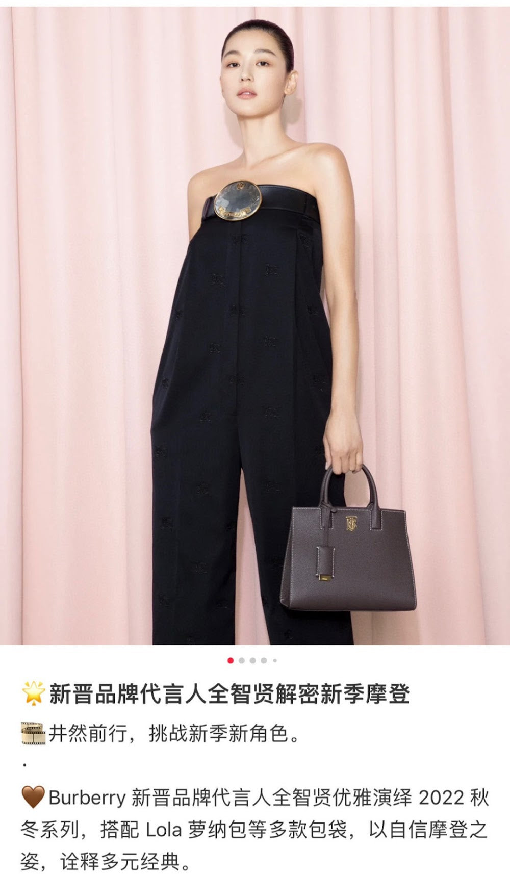 Ezyycart Bags Burberryn Luxury Bag --91692