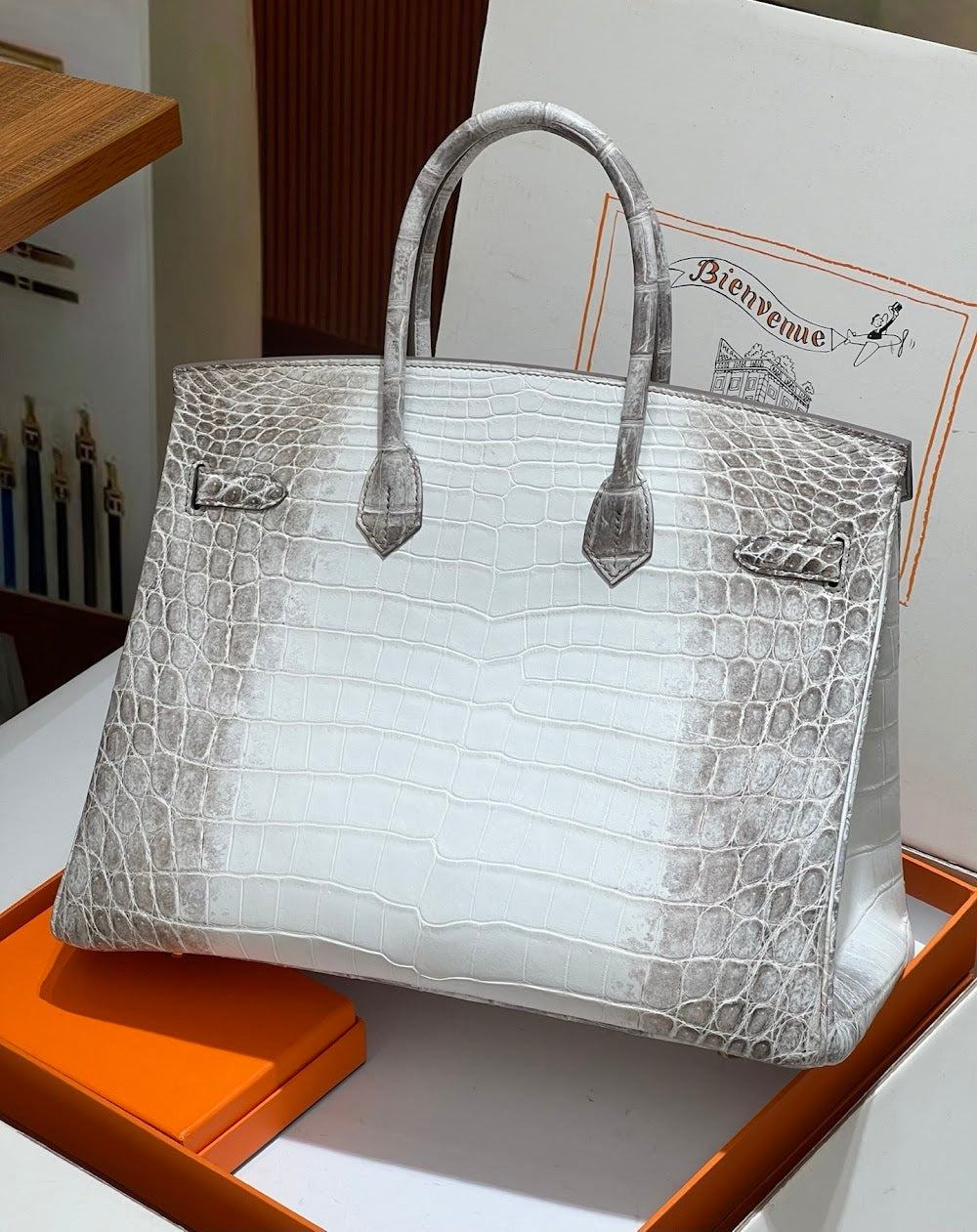 Anum Bags Hermesn Luxury Bag --116726
