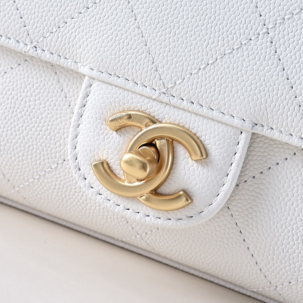 Anum Bags CHn Luxury Bag --114434
