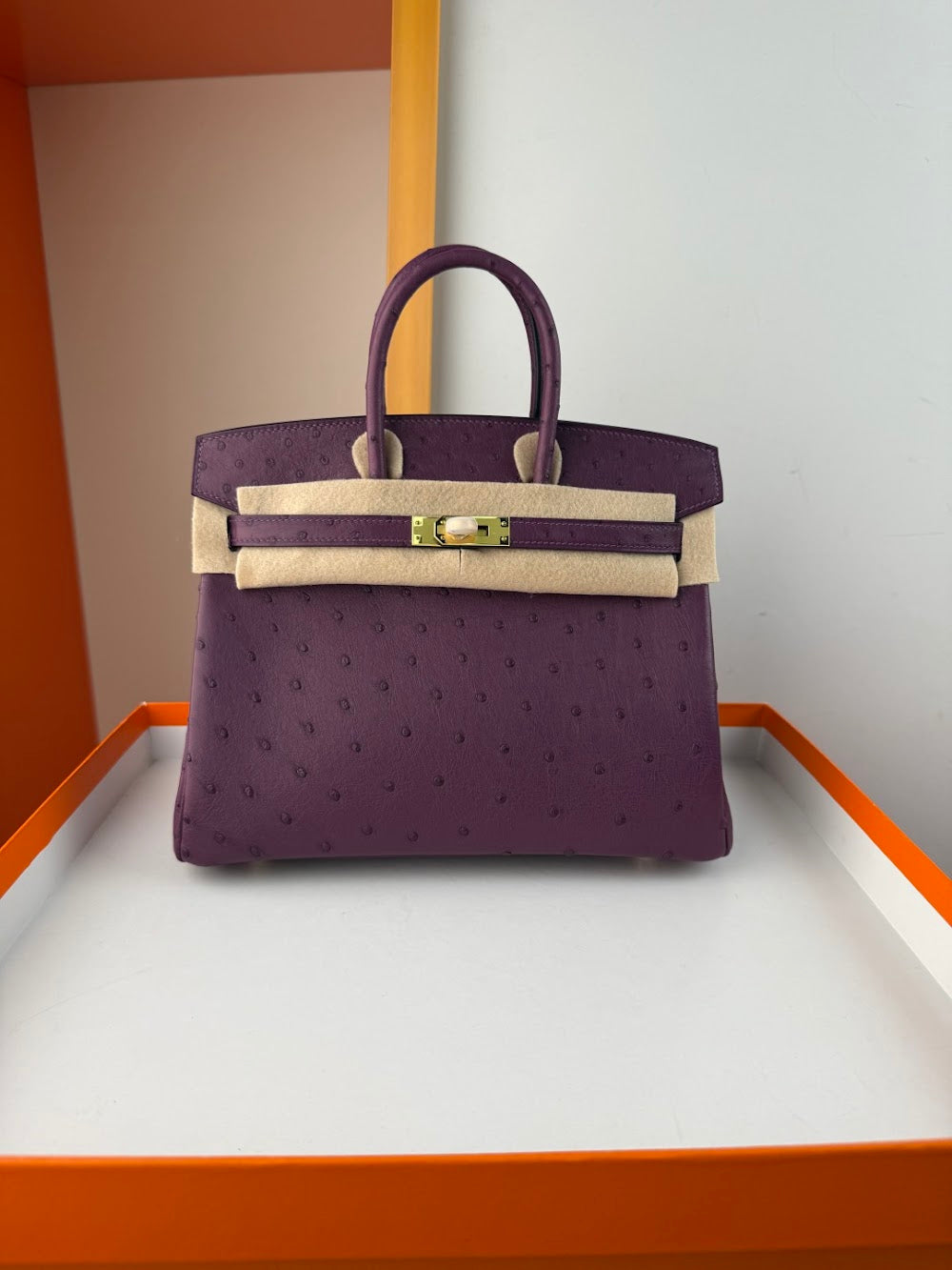 Anum Bags Hermesn Luxury Bag --116761