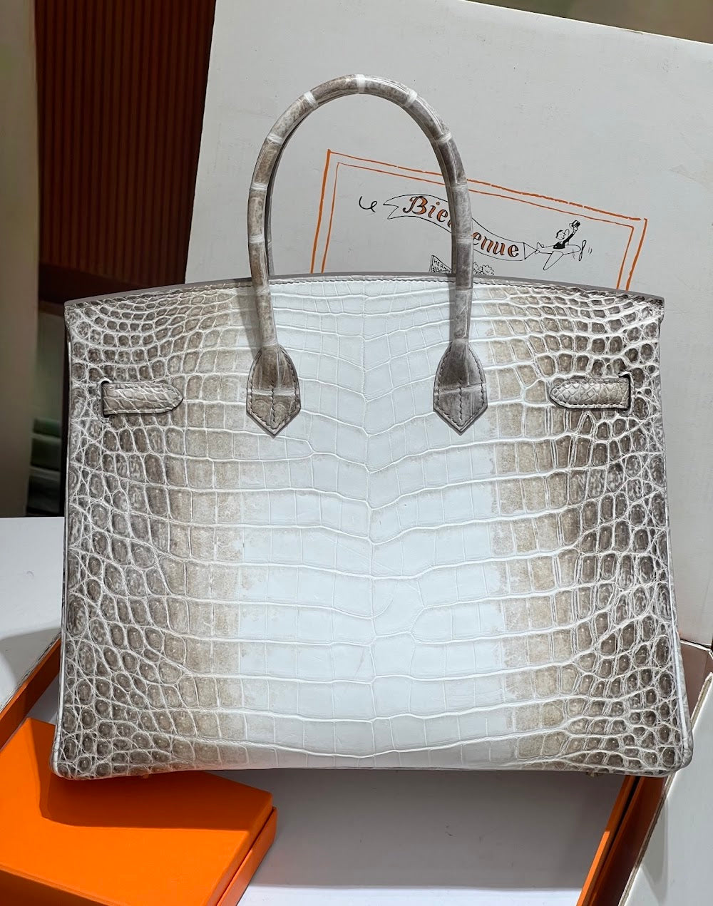 Anum Bags Hermesn Luxury Bag --116725
