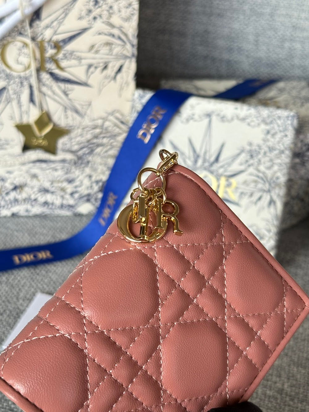 Ezyycart Bags Diorn Luxury Bag --115223