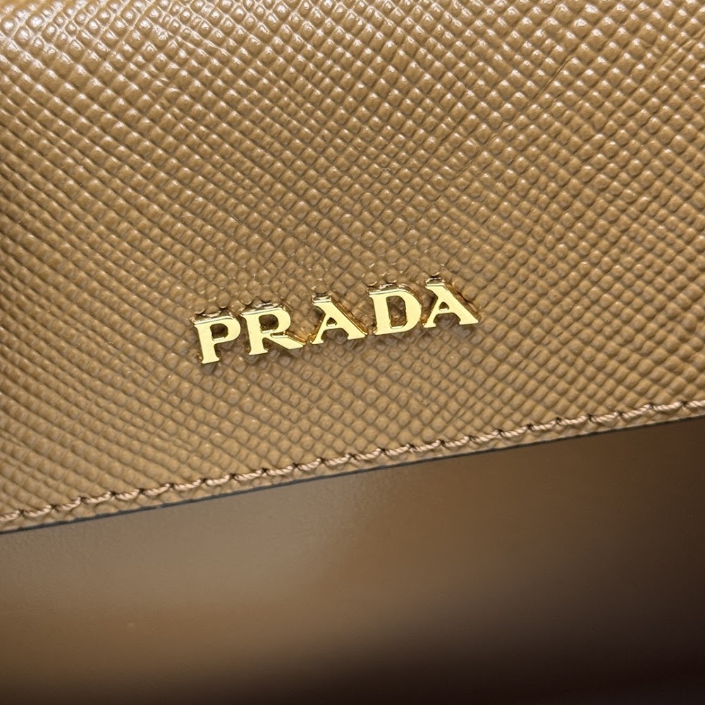 Ezyycart Bags Pradn Luxury Bag --102316