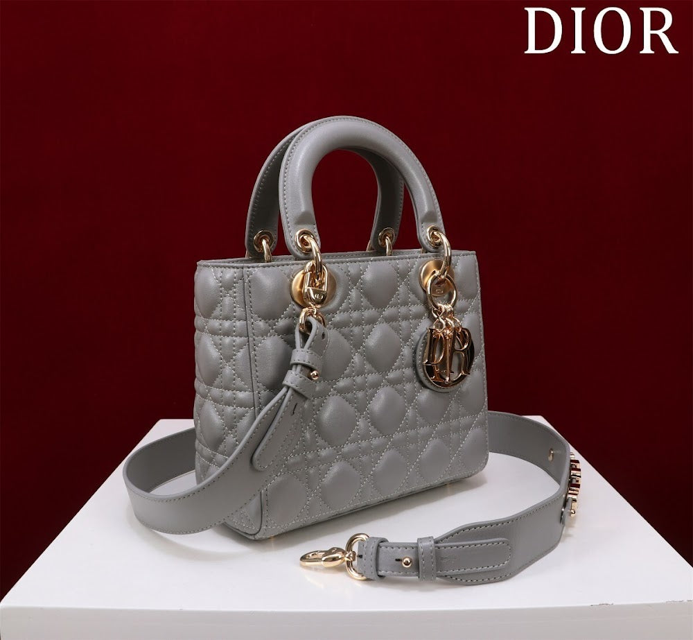 Ezyycart Bags Diorn Luxury Bag --115911