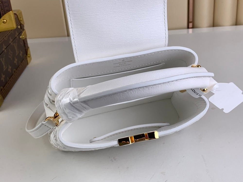 Anum Bags LV Luxury Bag --55661