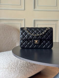 Anum Bags CHn Luxury Bag --113040