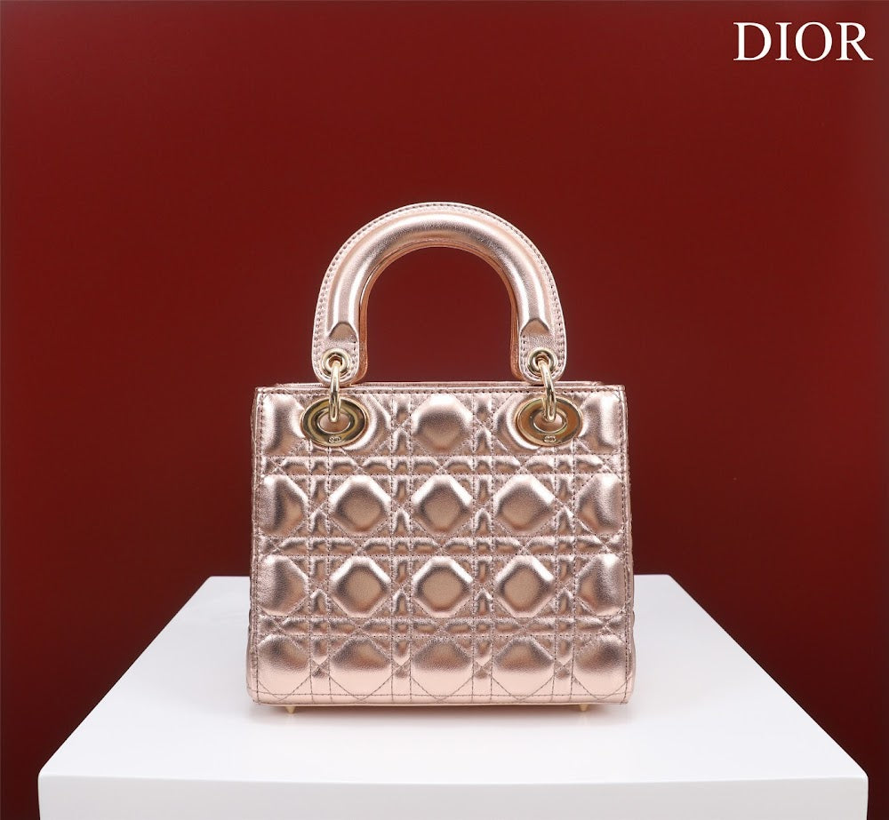 Ezyycart Bags Diorn Luxury Bag --115937