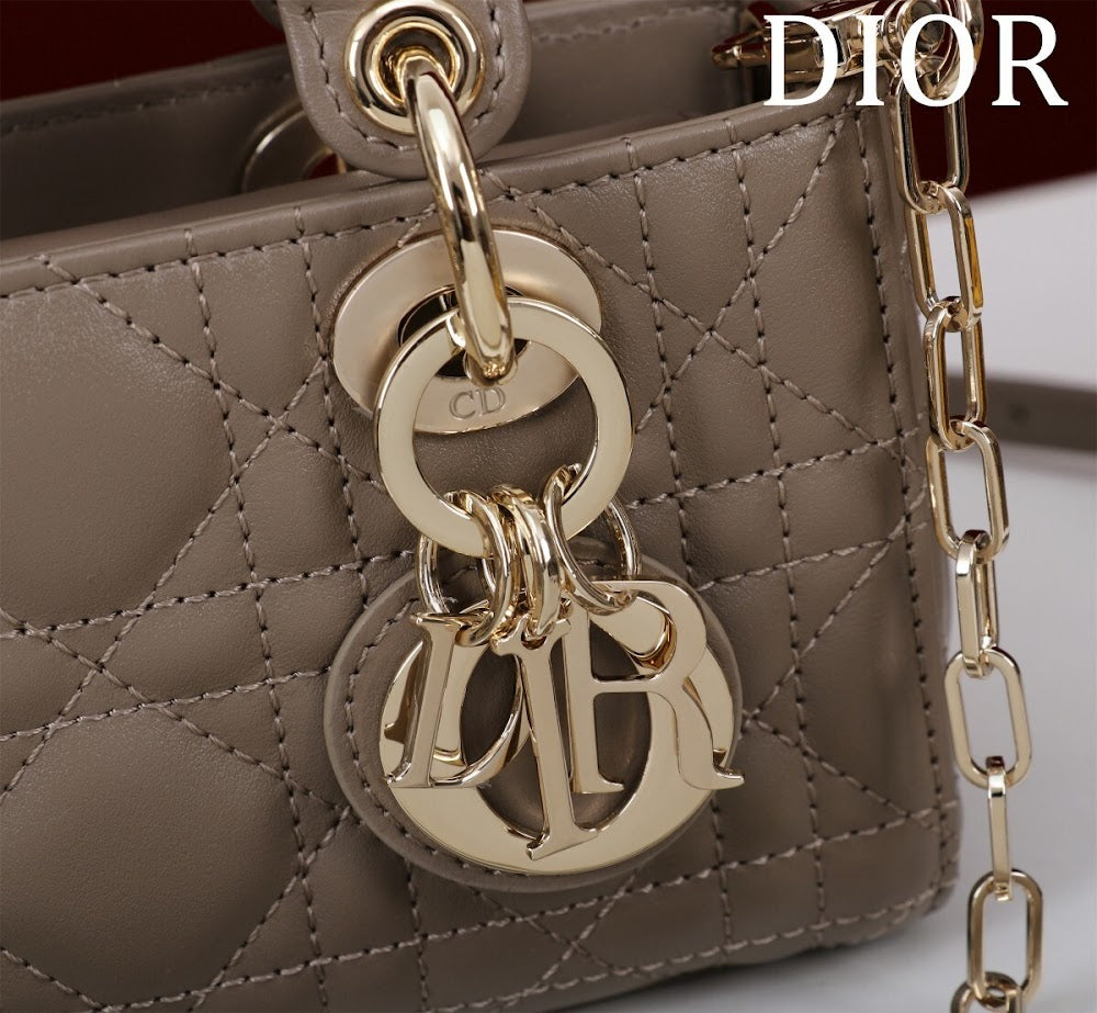 Ezyycart Bags Diorn Luxury Bag --116457