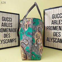 new-designer-premium-bags-nm8917