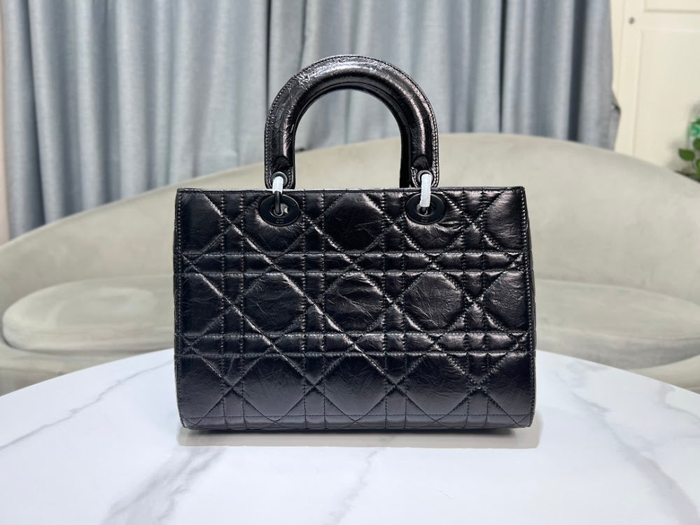 Ezyycart Bags Diorn Luxury Bag --115069