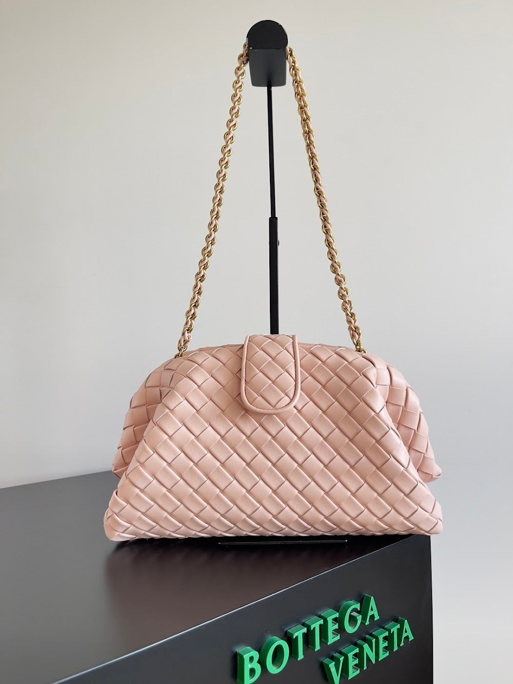 Ezyycart Bags Bottegan Luxury Bag --91288