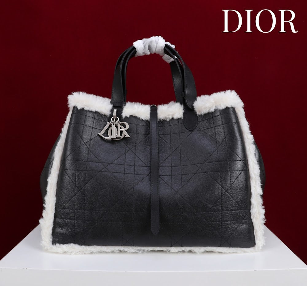 Anum Bags Diorn Luxury Bag --114890