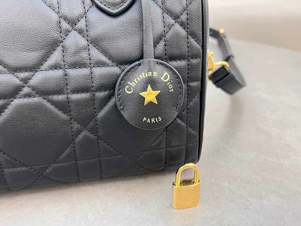 Ezyycart Bags Diorn Luxury Bag --116307