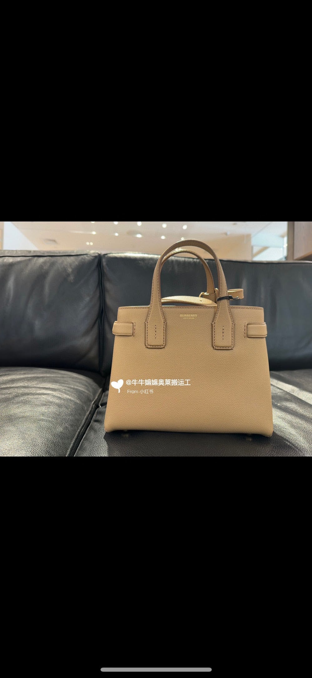 Ezyycart Bags Burberryn Luxury Bag --92193