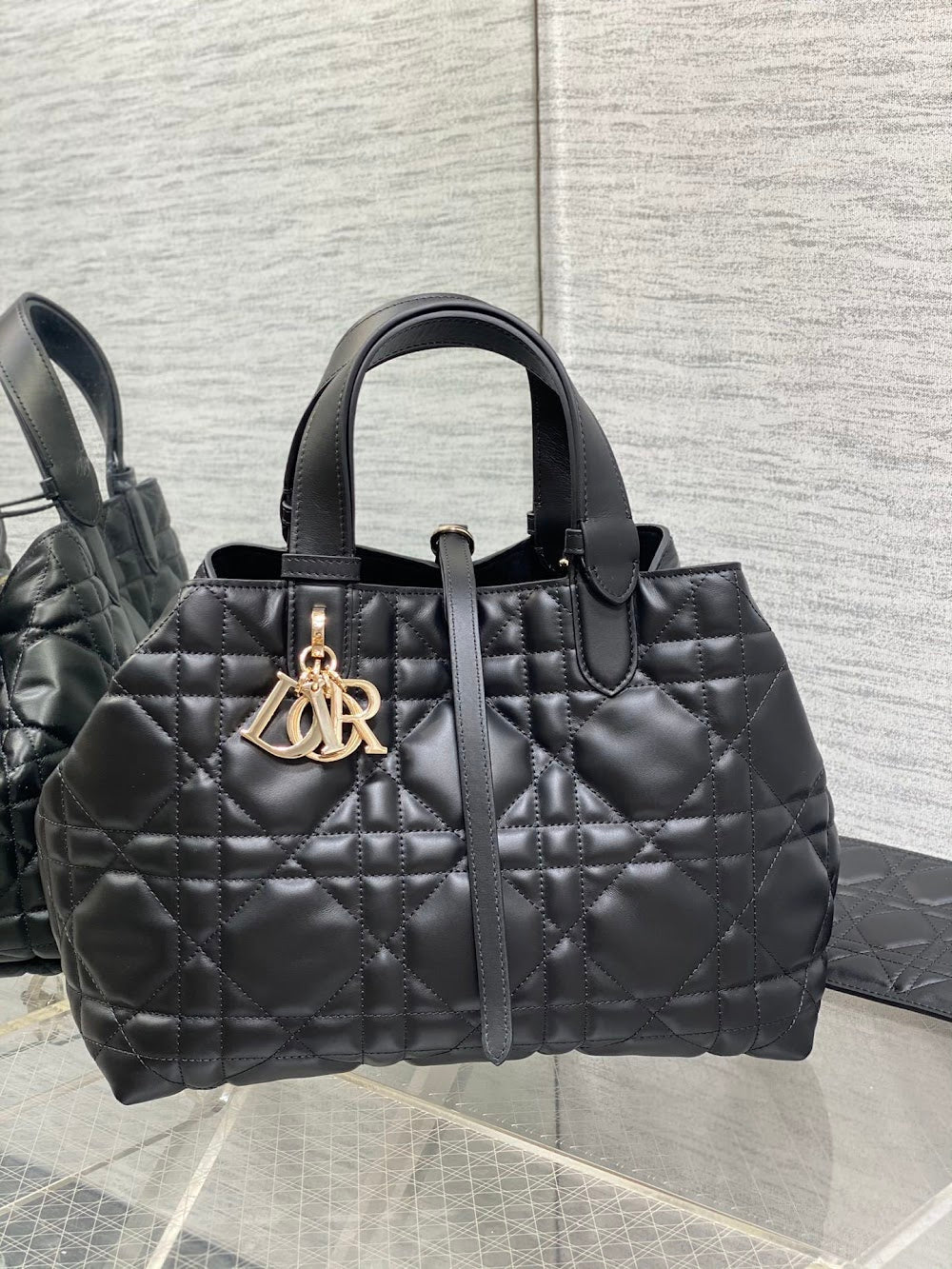 Anum Bags Diorn Luxury Bag --114549