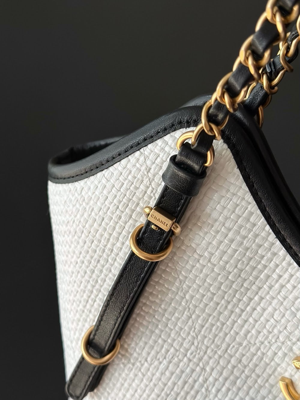 Anum Bags CHn Luxury Bag --114236
