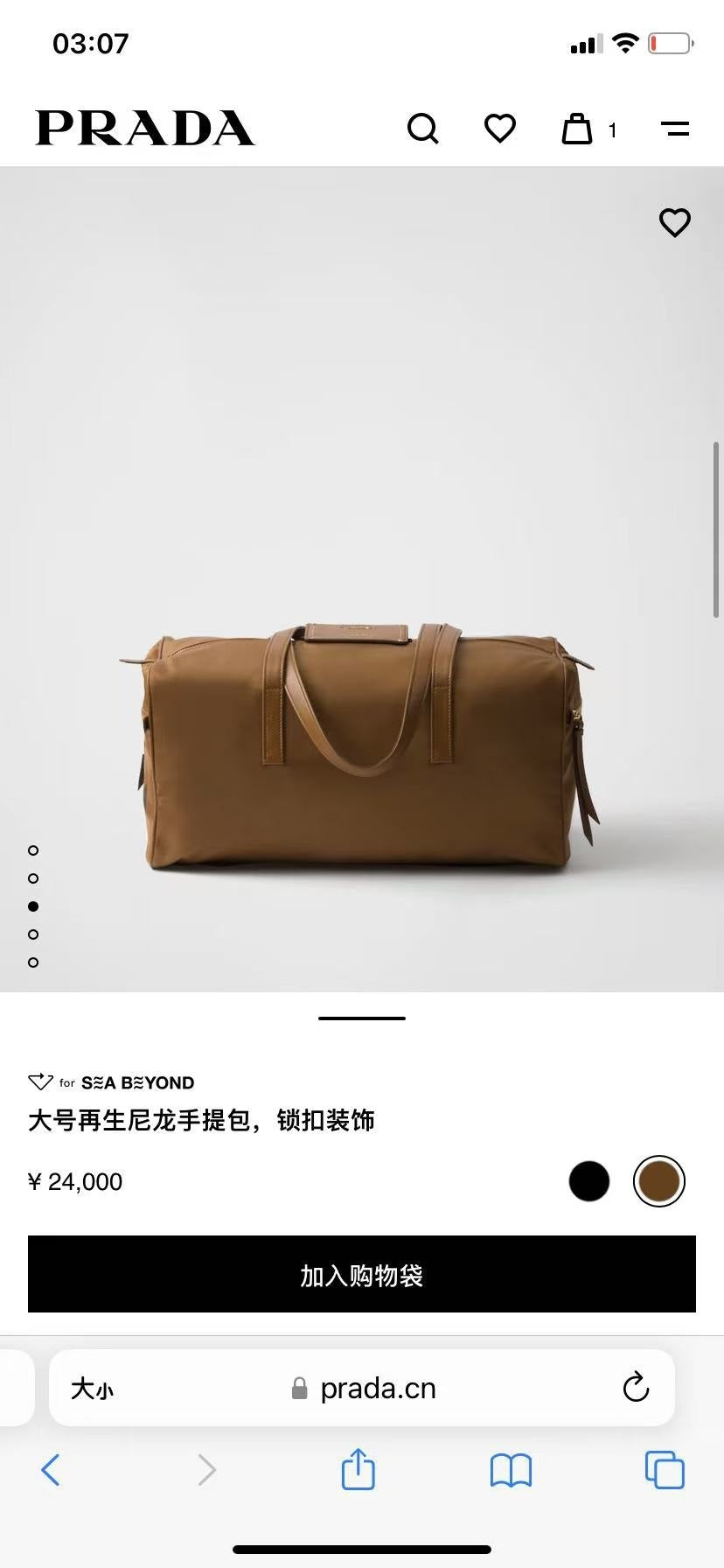 Ezyycart Bags Pradn Luxury Bag --101916