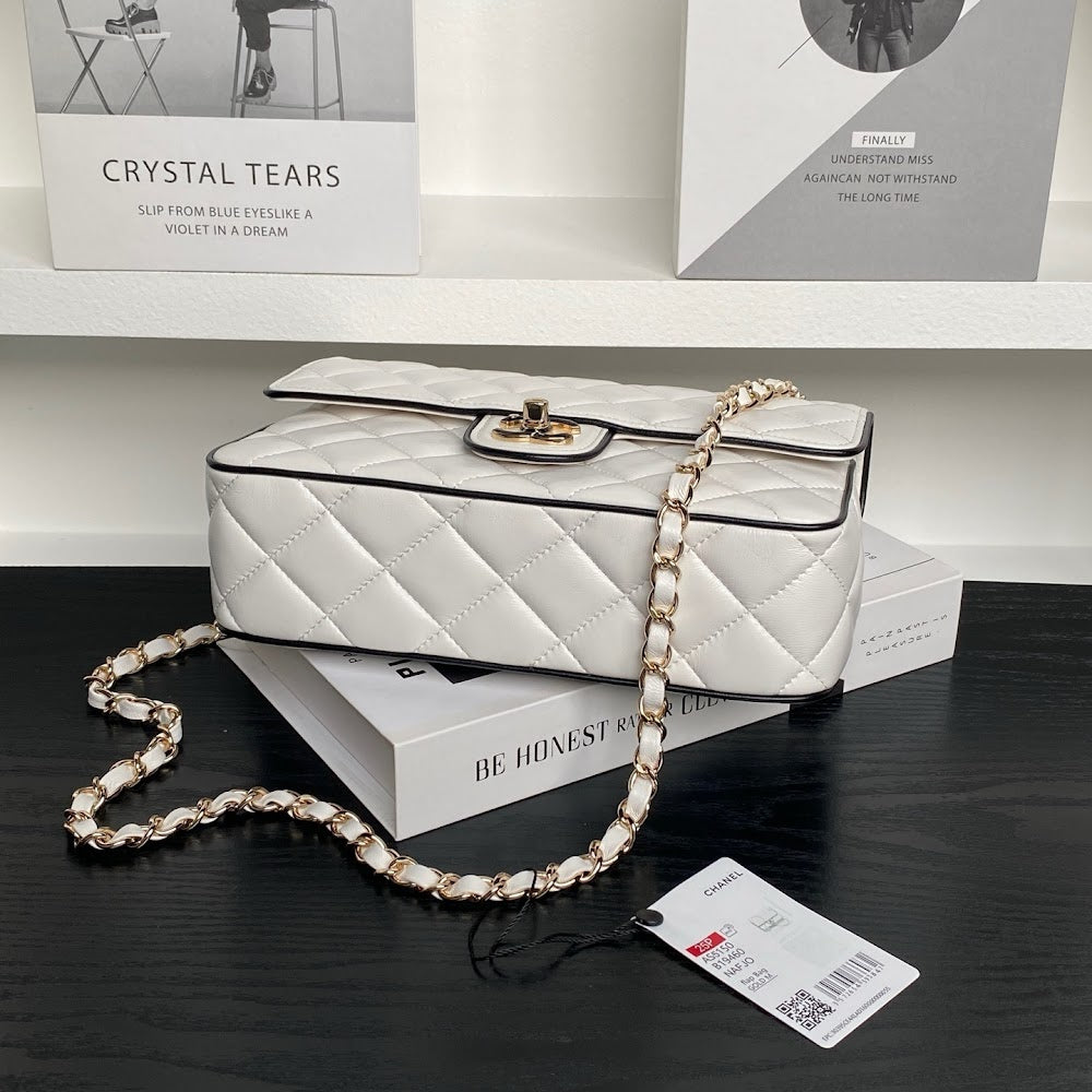new-luxury-designer-bags-nm10286