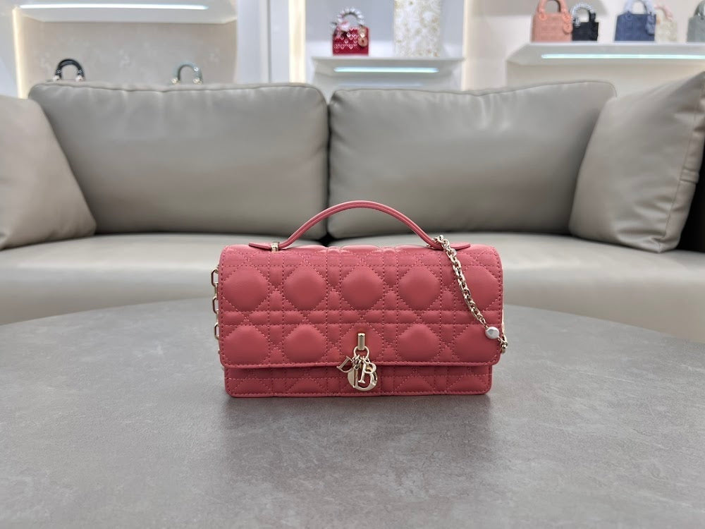 new-designer-premium-bags-nm16245