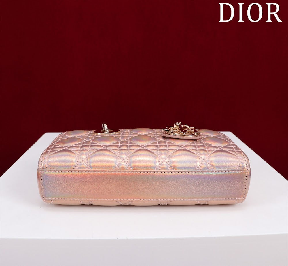Anum Bags Diorn Luxury Bag --114737