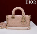 Anum Bags Diorn Luxury Bag --114783