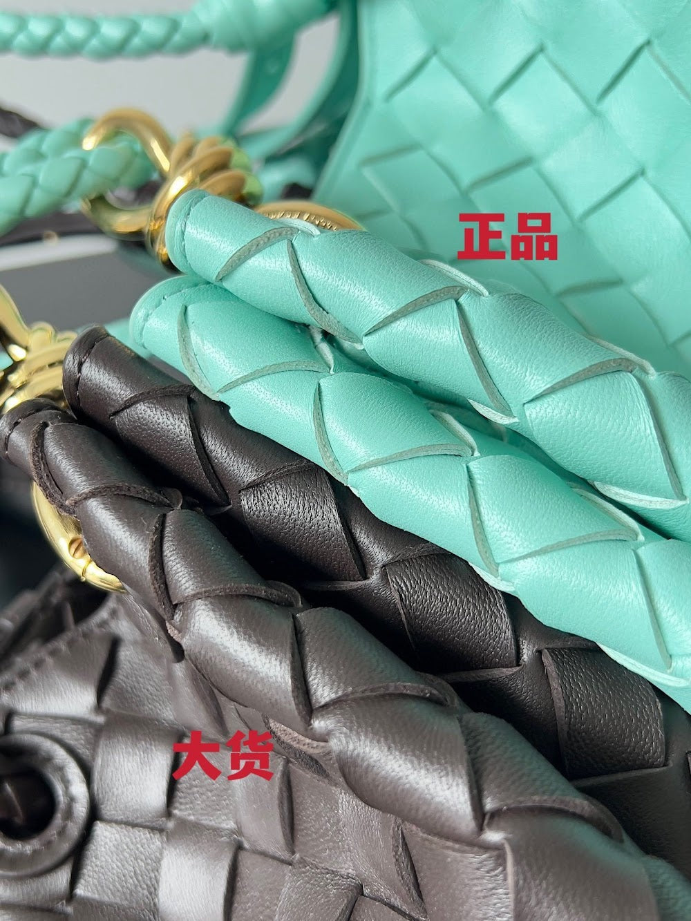 Ezyycart Bags Bottegan Luxury Bag --91093