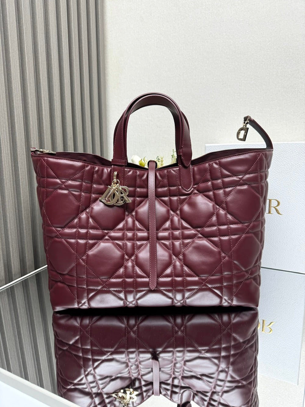 Ezyycart Bags Diorn Luxury Bag --116407