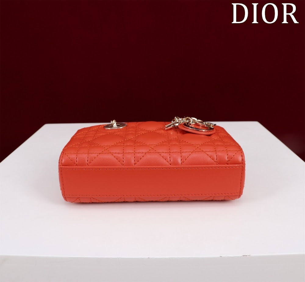 Ezyycart Bags Diorn Luxury Bag --116450