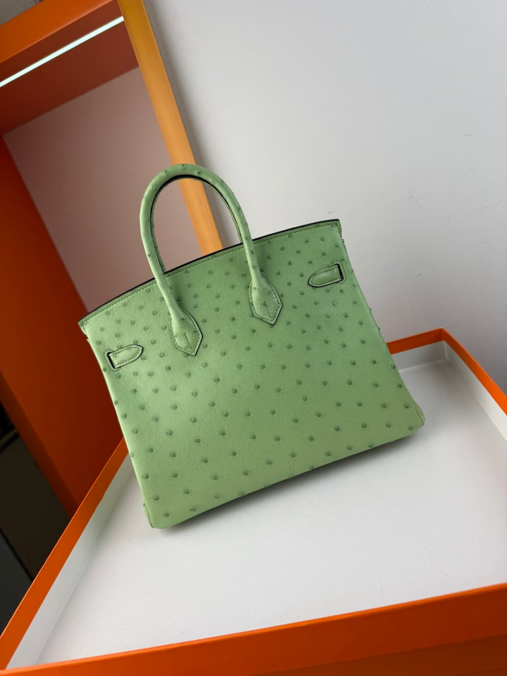 Anum Bags Hermesn Luxury Bag --116758