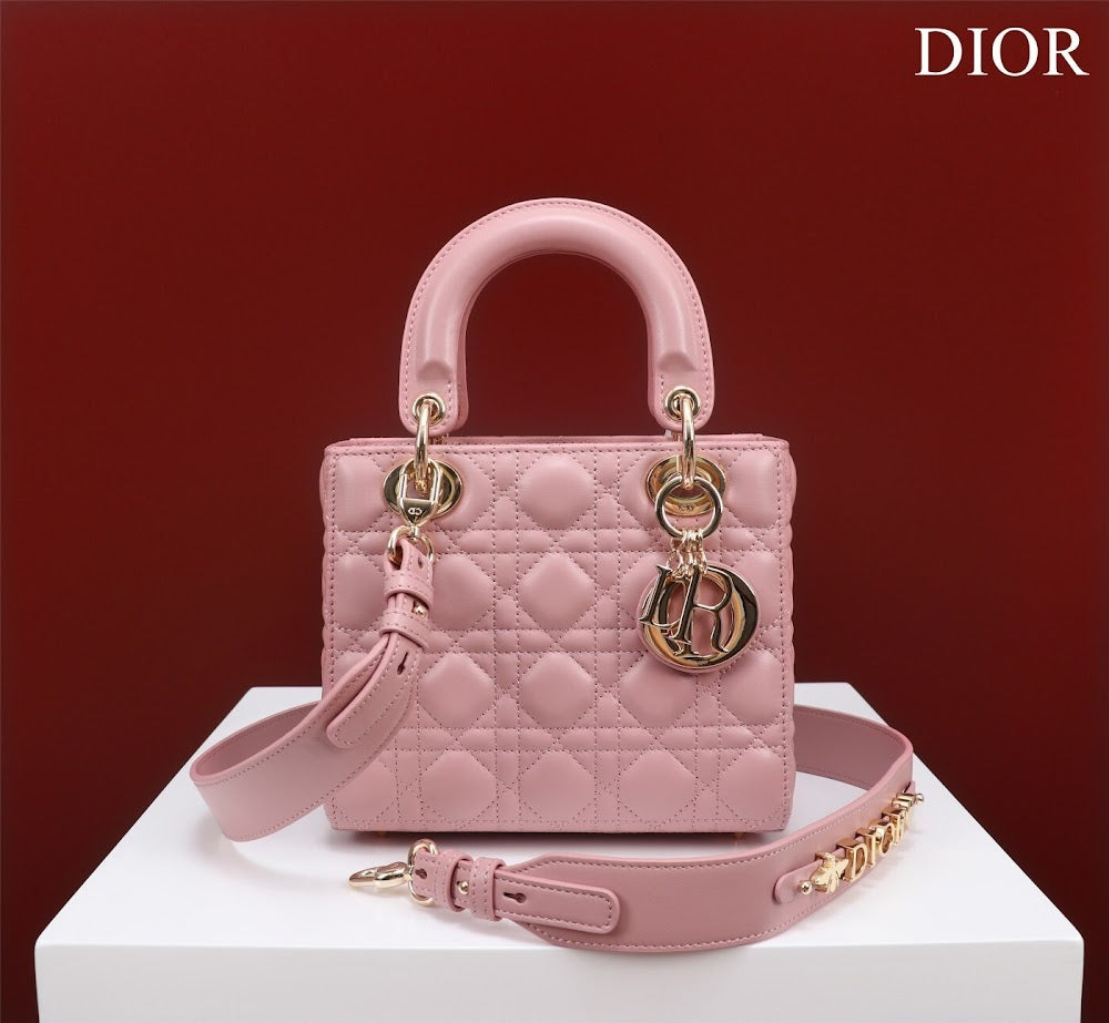 Ezyycart Bags Diorn Luxury Bag --115915