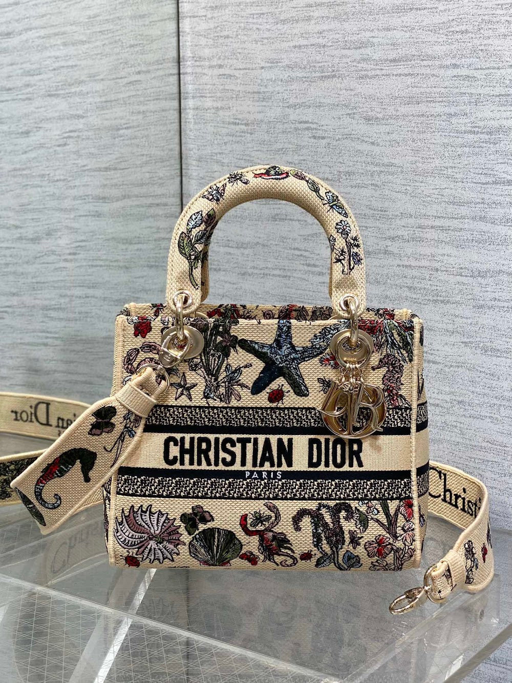 new-designer-premium-bags-nm16301