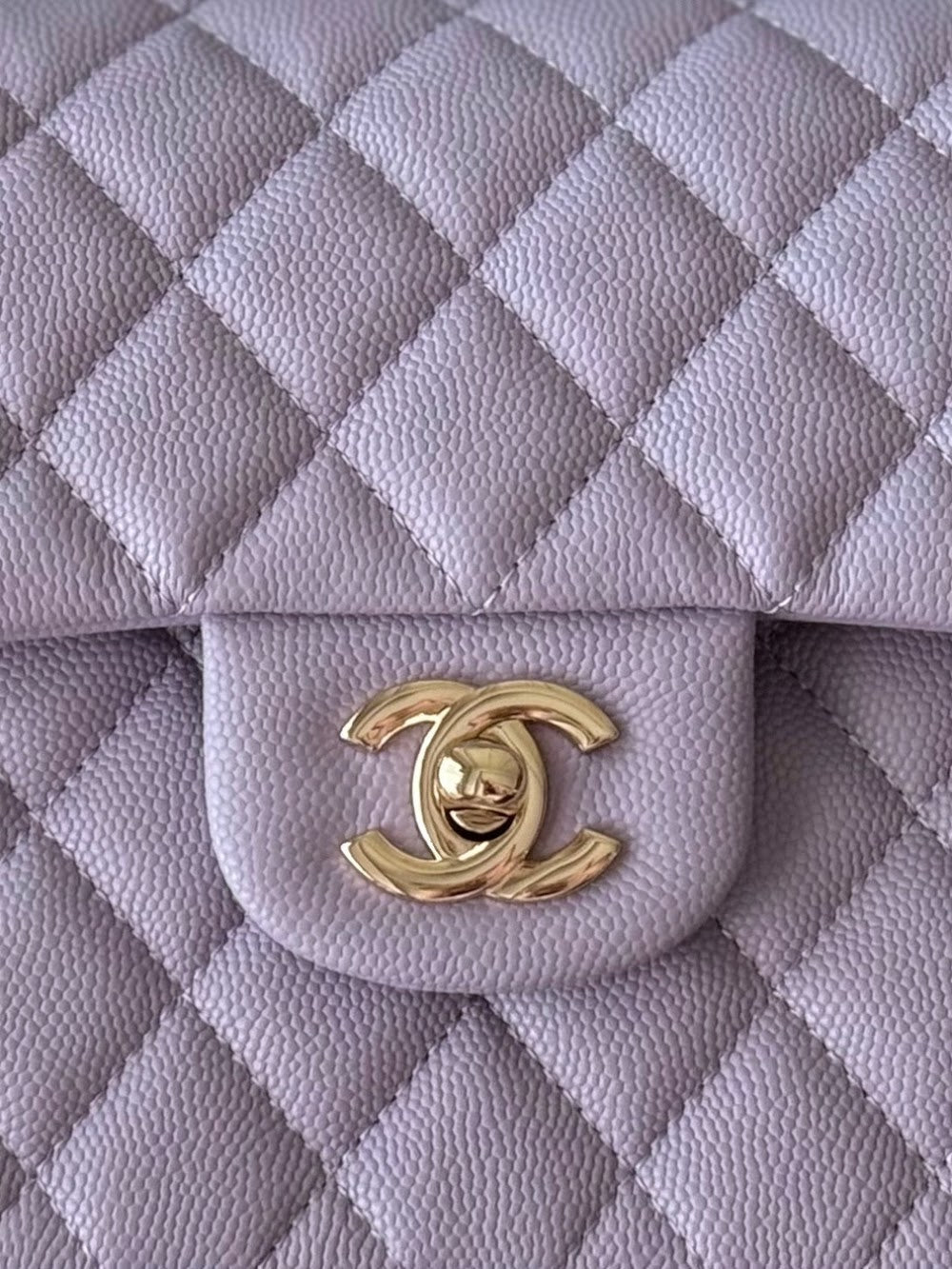 Anum Bags CHn Luxury Bag --112776