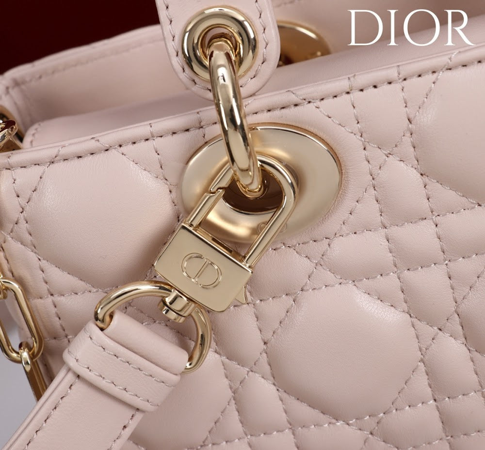 Anum Bags Diorn Luxury Bag --114785