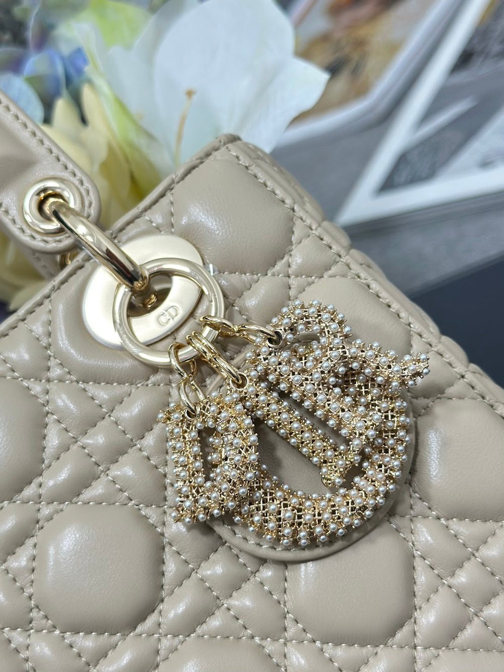 Ezyycart Bags Diorn Luxury Bag --115893