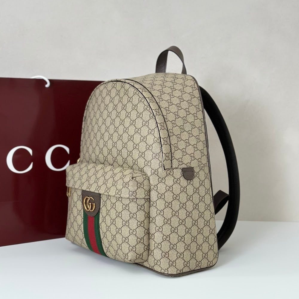 new-luxury-designer-bags-nm18148