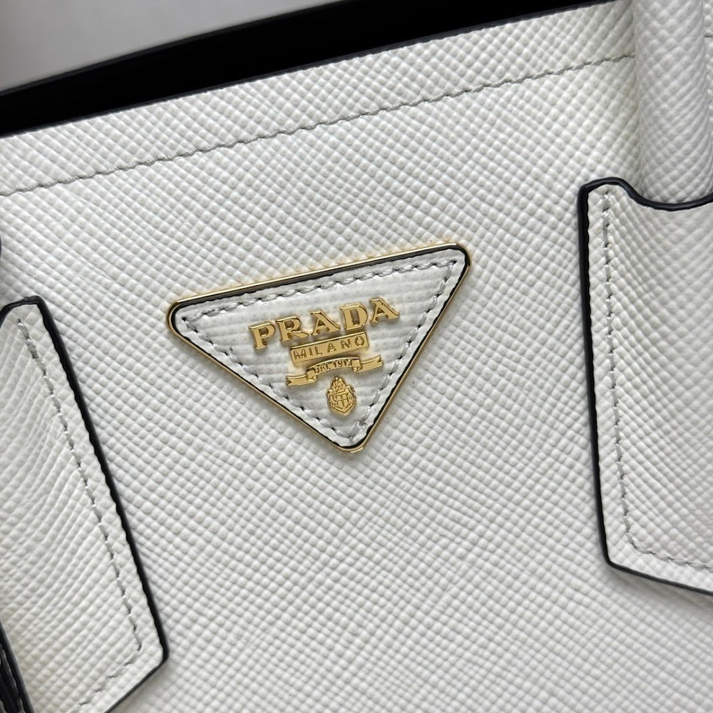 Ezyycart Bags Pradn Luxury Bag --102203