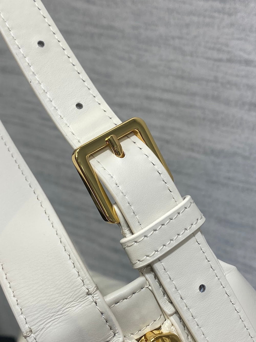 Ezyycart Bags Diorn Luxury Bag --116138