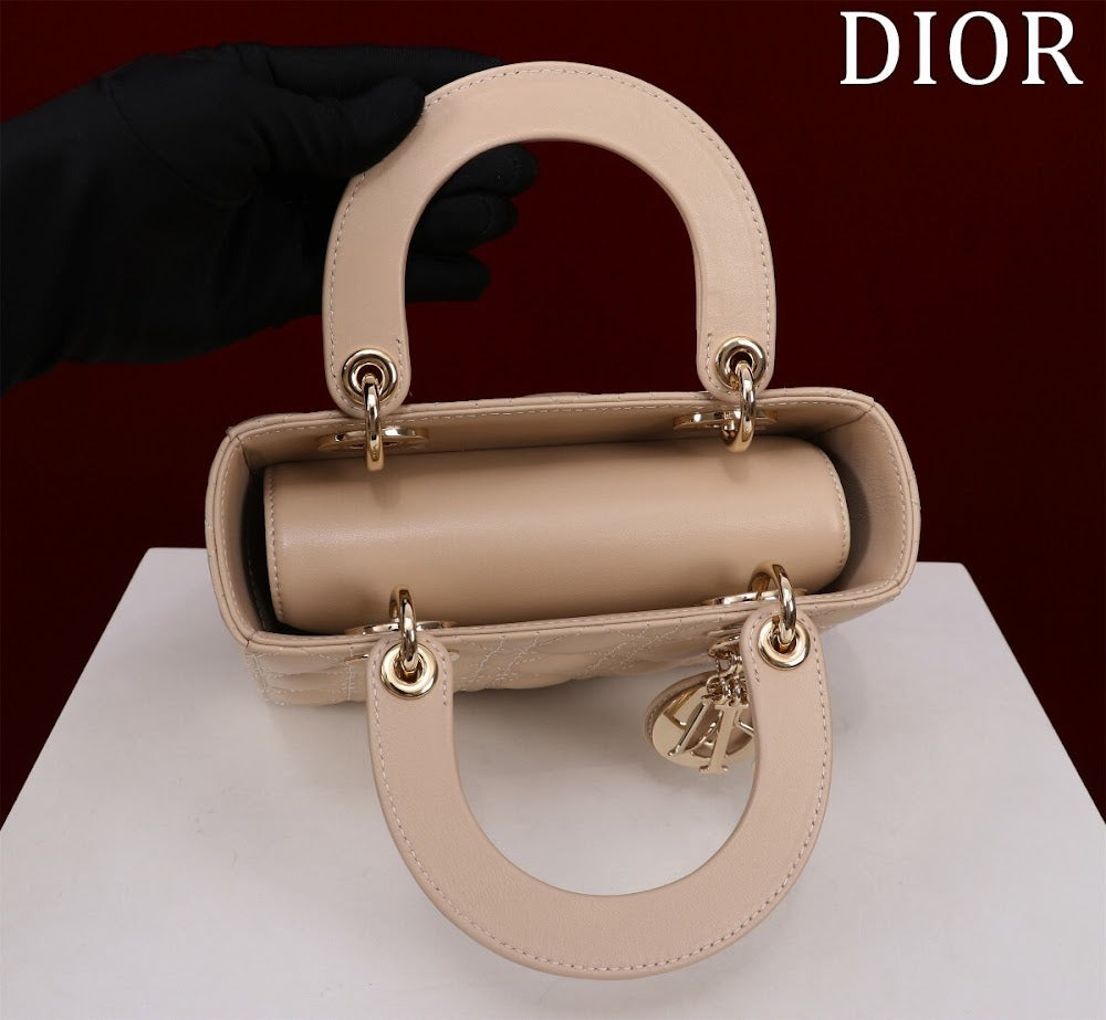 Ezyycart Bags Diorn Luxury Bag --115932