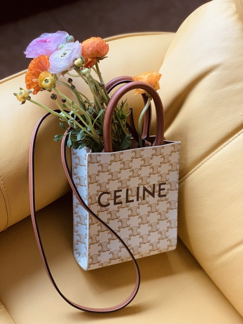Ezyycart Bags Celine Luxury Bag --112633
