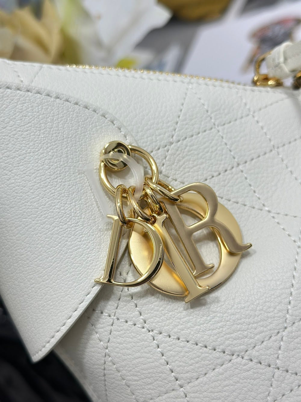 Anum Bags Diorn Luxury Bag --114546